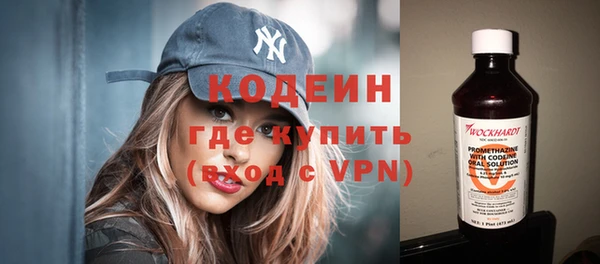 шишки Апатиты