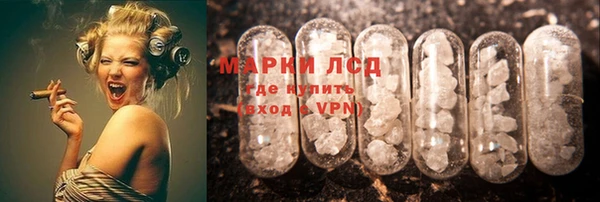 гашик Анива