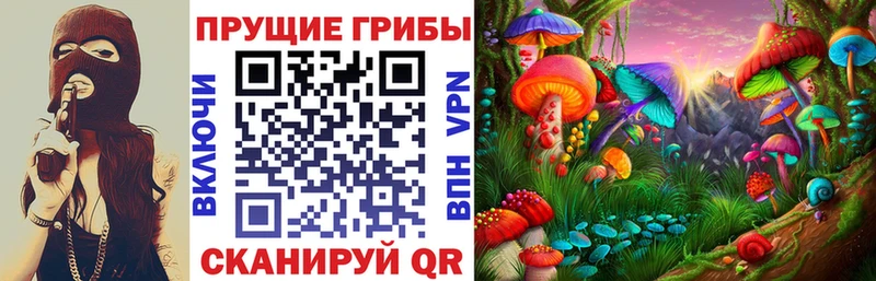 Псилоцибиновые грибы ЛСД  где найти   Балей 