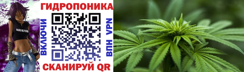 мега как зайти  Балей  Марихуана ГИДРОПОН 